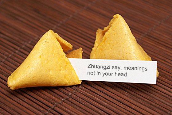 Fortune cookie: Zhuangzi say, meanings not in your head