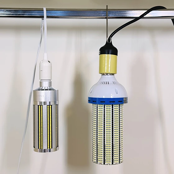 Larger and smaller corn bulbs hung from lantern cords
