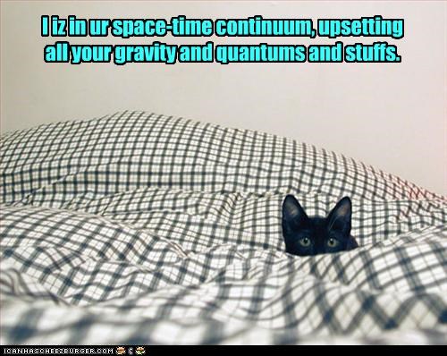 Cat messing up your spacetime continuum and quantums and stuffs