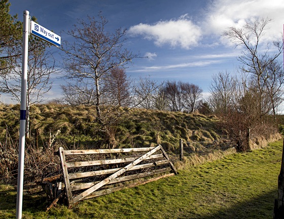 Altnabreac Station exit