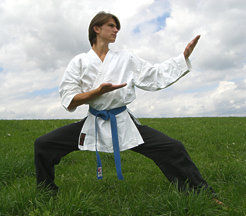 Adopting a karate stance