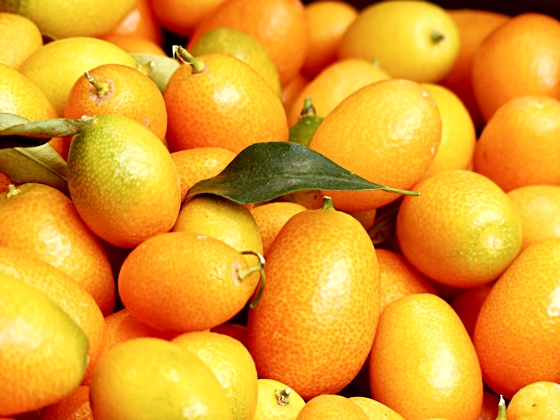 Kumquats