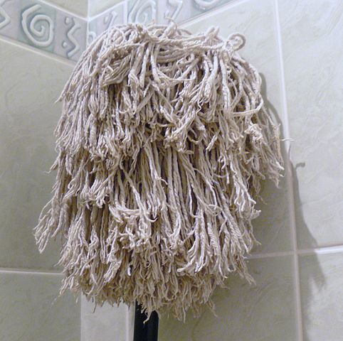 Mop