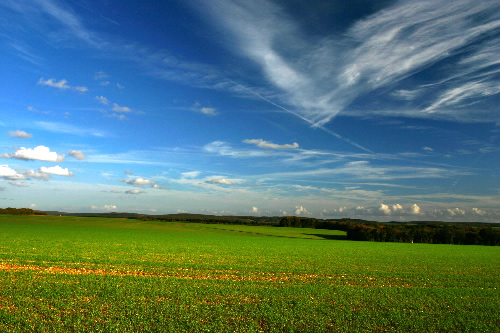 Clouds and fields: nebulosity and pattern