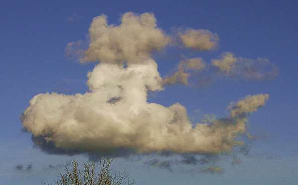 Cloud that looks like a submarine.  Or maybe a shark wearing a hat.  Or something.
