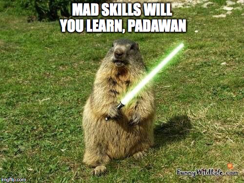 Jedi master marmot teaches mad skills