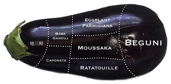 Structure and function of the eggplant